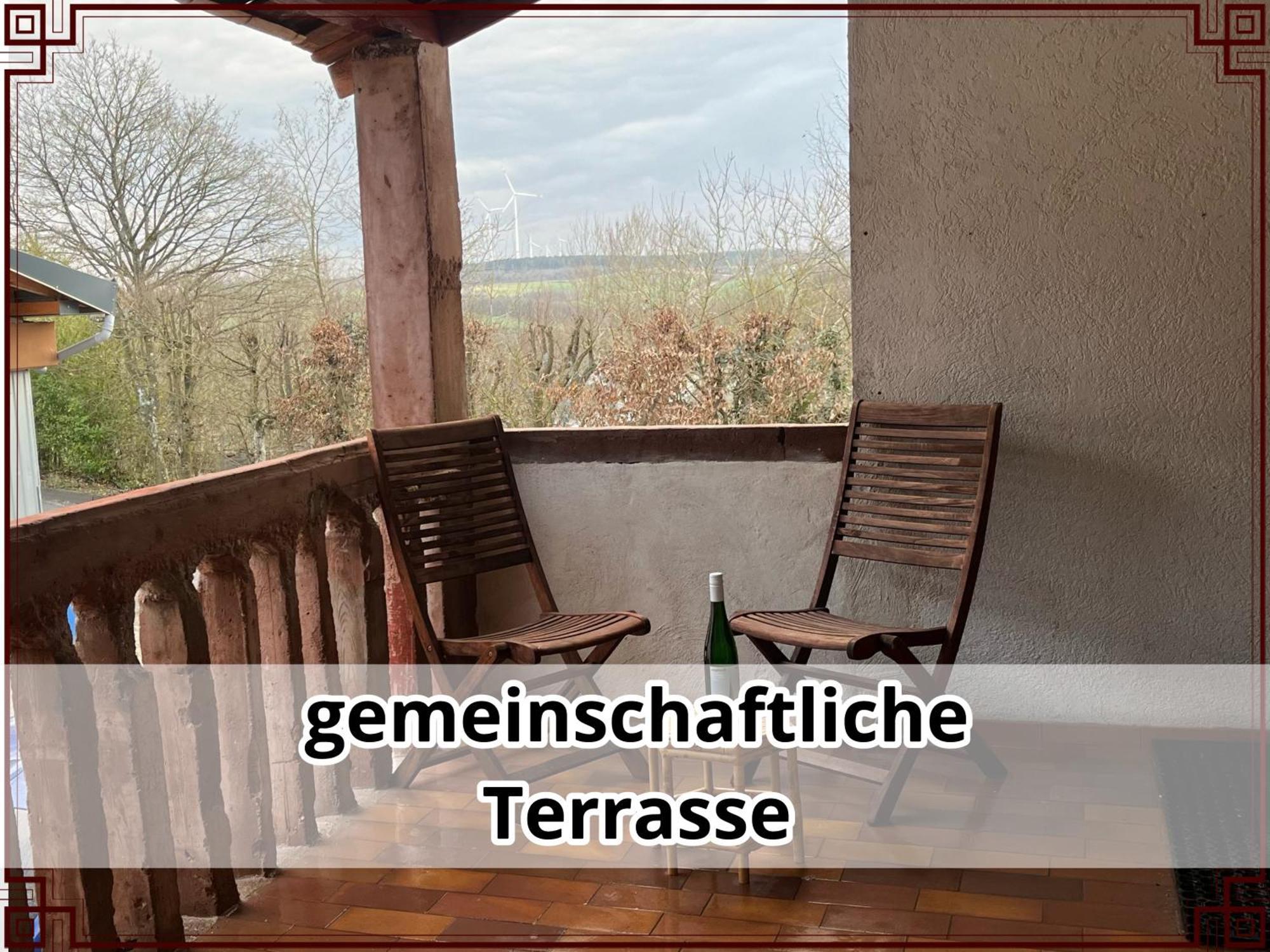 Smallsaigon Apartment Mit Guter Anbindung Zwischen Mosel Und Rhein Leiningen Ngoại thất bức ảnh