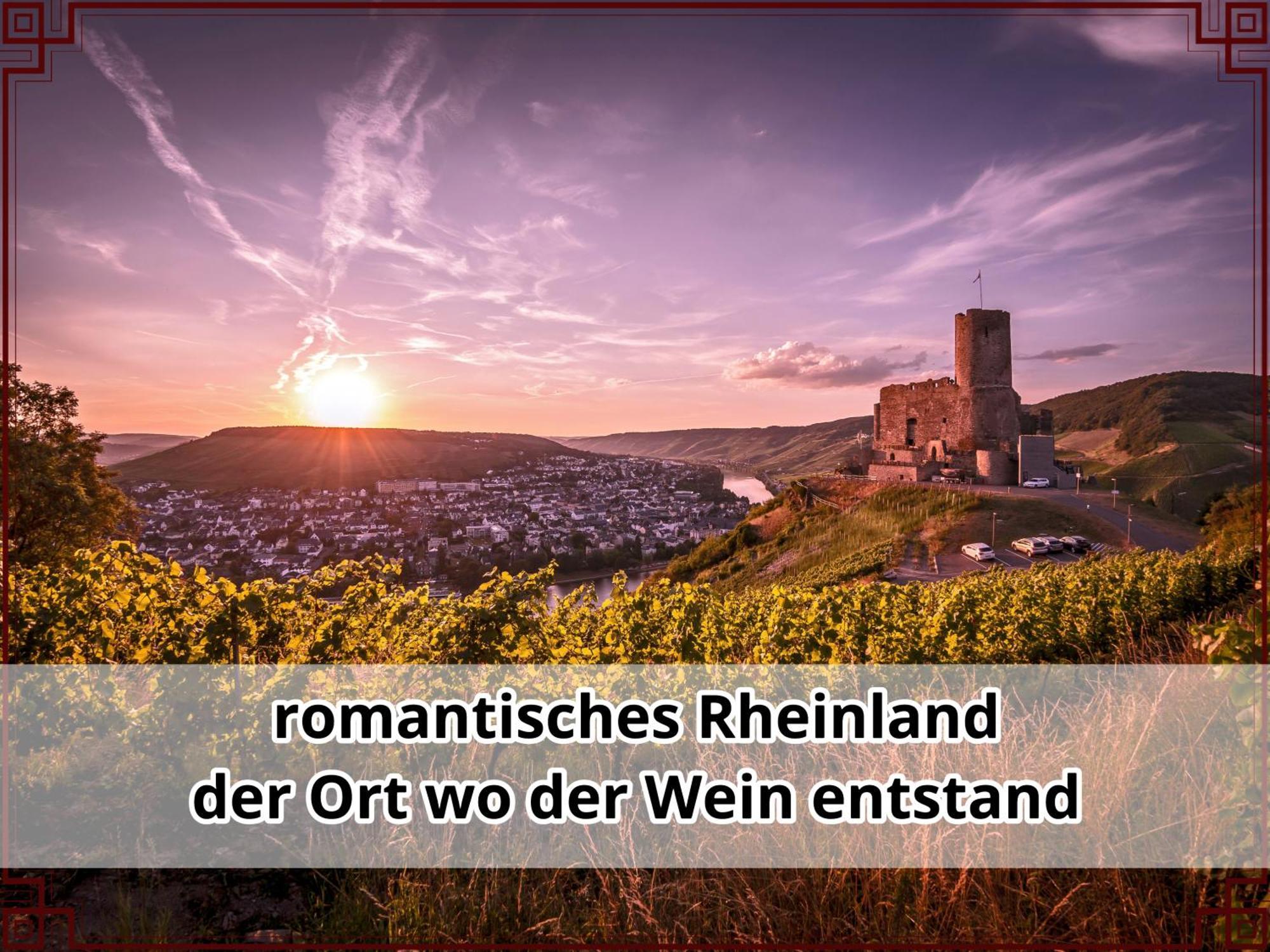 Smallsaigon Apartment Mit Guter Anbindung Zwischen Mosel Und Rhein Leiningen Ngoại thất bức ảnh